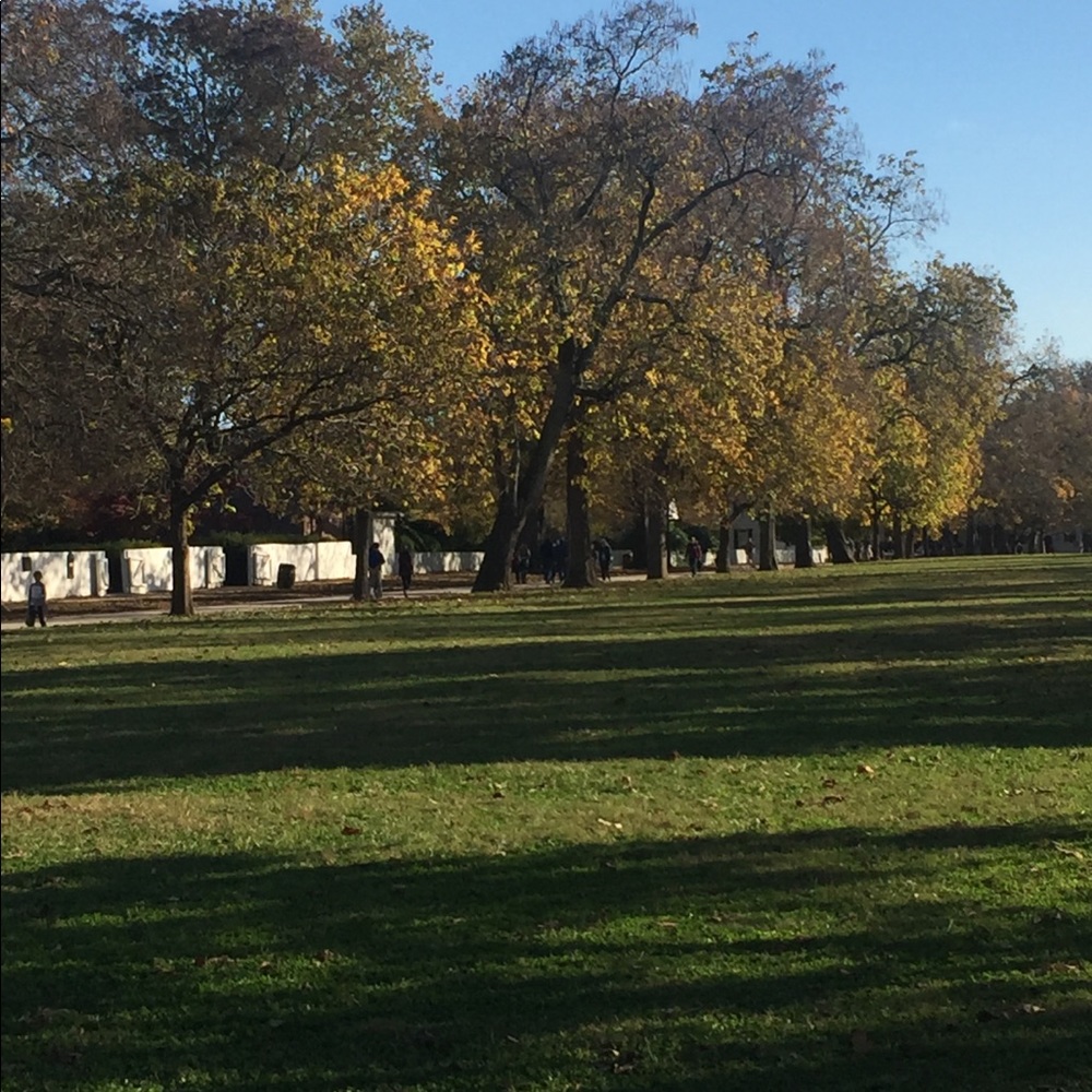 Meet your Posher, Ranya